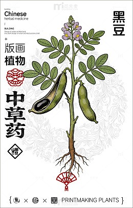 版画风格黑豆植物图
