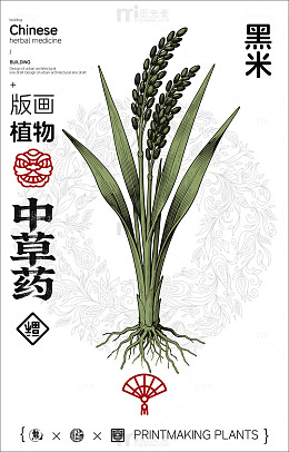 中国风黑米植物插画设计素材