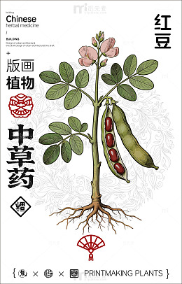 中国画风红豆植物插画海报