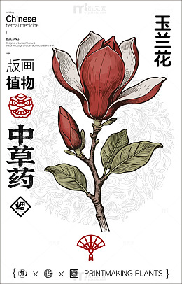 版画风格玉兰花植物插画