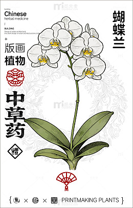 版画风格蝴蝶兰艺术宣传海报