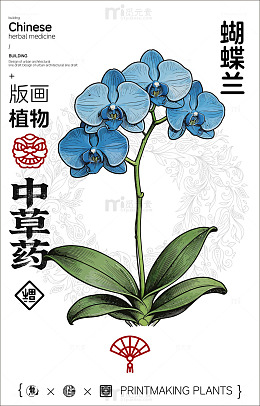 版画风格蝴蝶兰植物图案设计素材