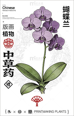 版画蝴蝶兰植物中草药设计素材