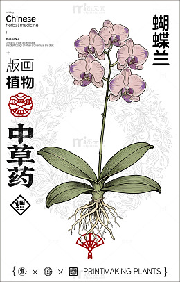 版画风格蝴蝶兰植物插画设计素材
