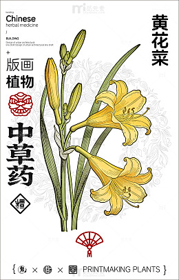 版画风格中草药黄花菜设计素材