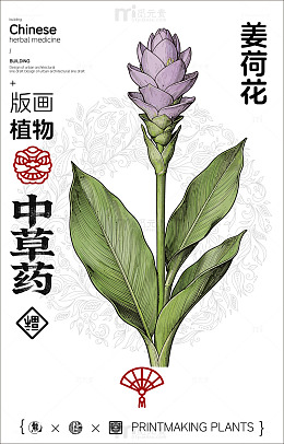 版画风格姜荷花植物插画