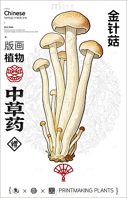 版画风格金针菇中草药设计素材