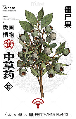 中国风植物插画僵尸果设计素材