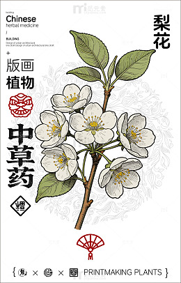 版画风格梨花植物中草药海报设计素材