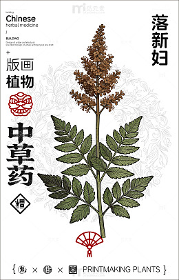 版画风格中草药落新妇介绍海报