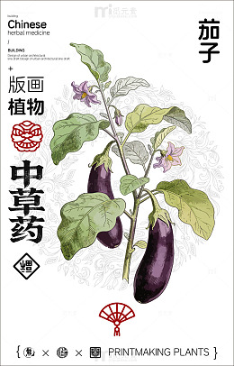 中国画风茄子中草药宣传海报