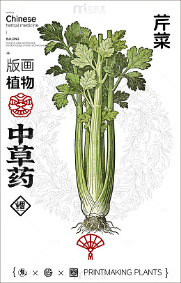 版画风格芹菜中草药设计素材
