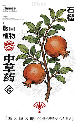 版画风格石榴中草药宣传海报