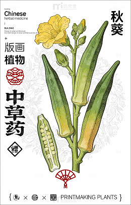 中国风秋葵植物中草药插画