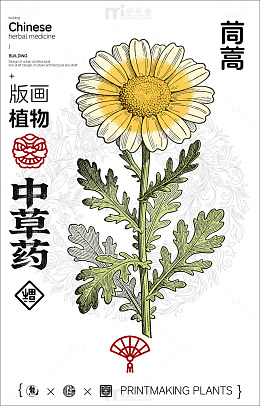 版画风格中草药植物设计素材