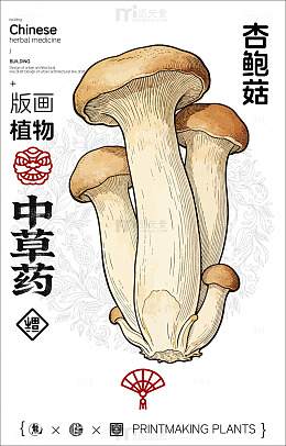 中国风杏鲍菇植物插画设计