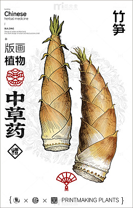 中国风竹笋中草药版画设计图