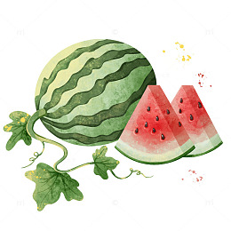 手绘夏天西瓜插画元素