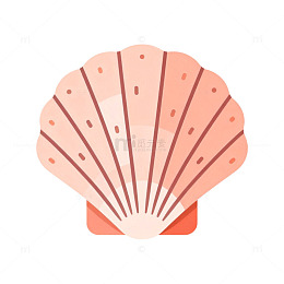 简约贝壳插画设计素材