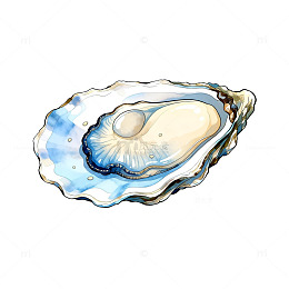 水彩生蚝插画