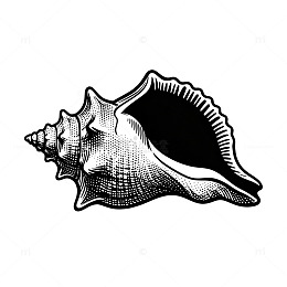 黑白风格海螺图案矢量素材