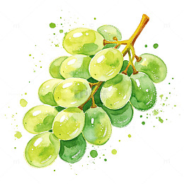 水彩手绘青提葡萄串清新免扣夏季水果插画