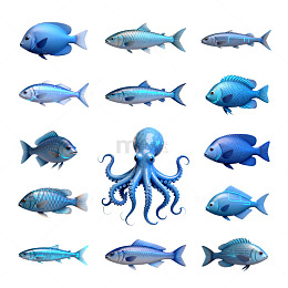 海洋动物插画合集