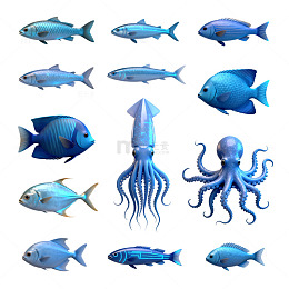 海洋动物插画合集
