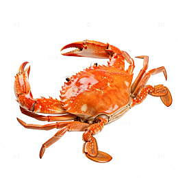 海鲜美食螃蟹片