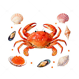 海边鲜物水彩画