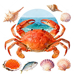 海洋风情螃蟹插画素材