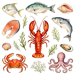 海洋动物水彩插画