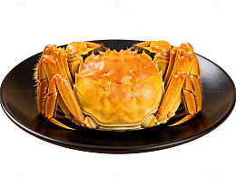 金黄螃蟹美食片