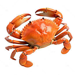 逼真螃蟹模型海鲜素材