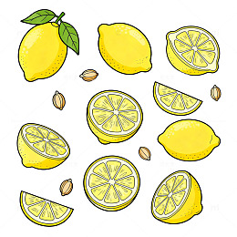 柠檬插画素材集