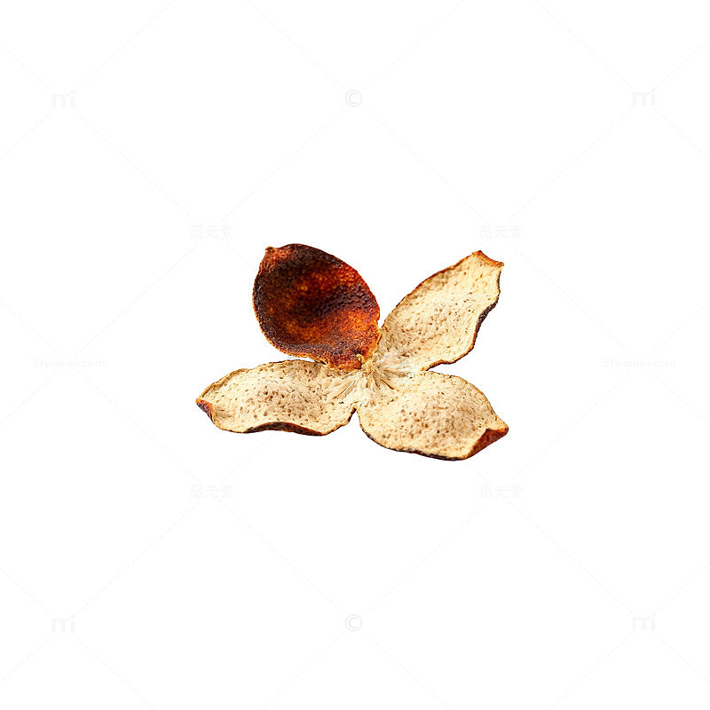 陈皮中药材展示图