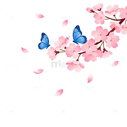 樱花蝴蝶春季插画素材