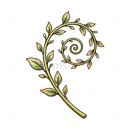 植物卷曲花纹图案