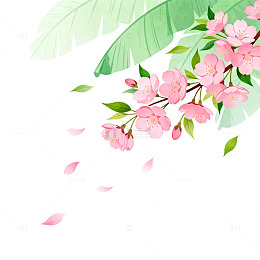 春日樱花插画设计素材