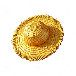 金草帽写实插画素材
