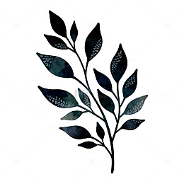 水墨风格植物枝条插画