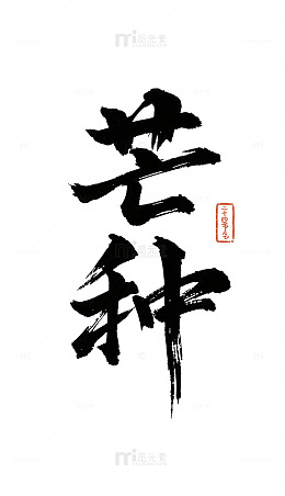 芒种节气书法字体