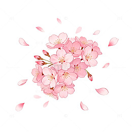 樱花插画设计素材