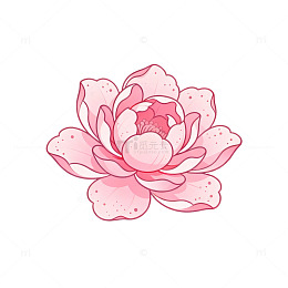 粉色荷花矢量插画