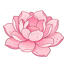 粉色莲花插画设计素材