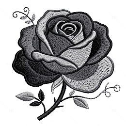 黑白玫瑰线描花朵图案