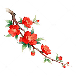 水彩花卉装饰画