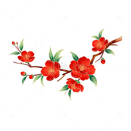 水彩风格红花插画设计元素