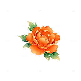 牡丹花插画设计素材