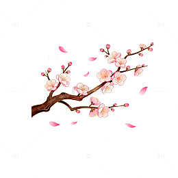 水彩梅花树枝插画